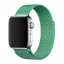 Remienky pre Apple Watch 4 / 5 / 6 / 7 / 8 / SE (38 / 40 / 40mm) | Magnetic mint