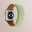 Remienky pre Apple Watch 4 / 5 / 6 / 7 / 8 / SE / Ultra (42 / 44 / 45mm) | Magnetic strap 1 hnedý